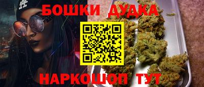 гидропоника Кингисепп