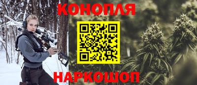 гидропоника Кингисепп
