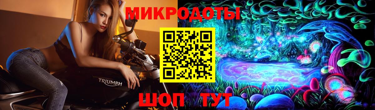 Псилоцибиновые грибы Psilocybe Кирово-Чепецк